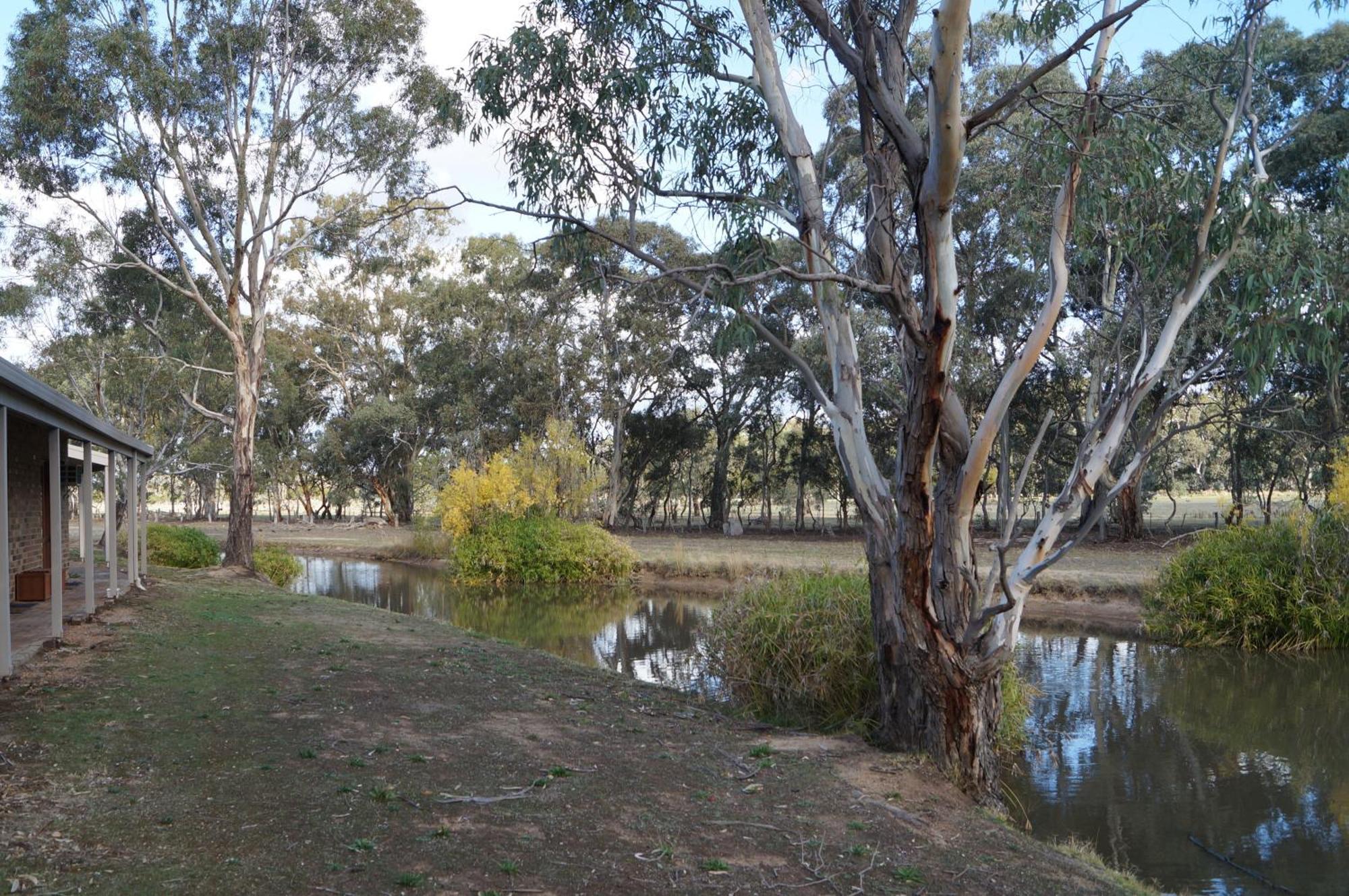 Magdala Motor Lodge & Lakeside Restaurant Stawell Cameră foto